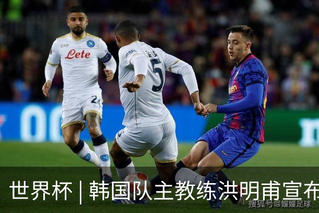 世界杯 | 韩国队主教练洪明甫宣布辞职