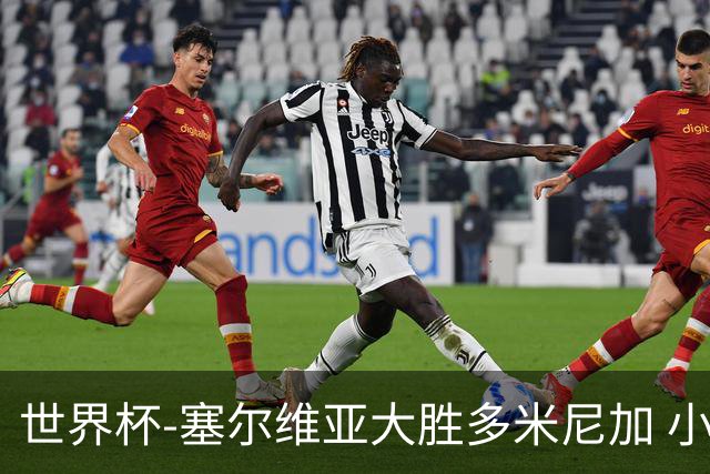 世界杯-塞尔维亚大胜多米尼加 小组第二进八强